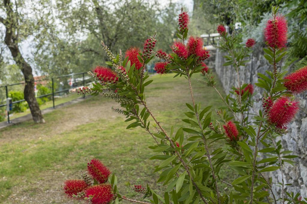 Monja Camping Village Brenzone sul Garda Exterior foto