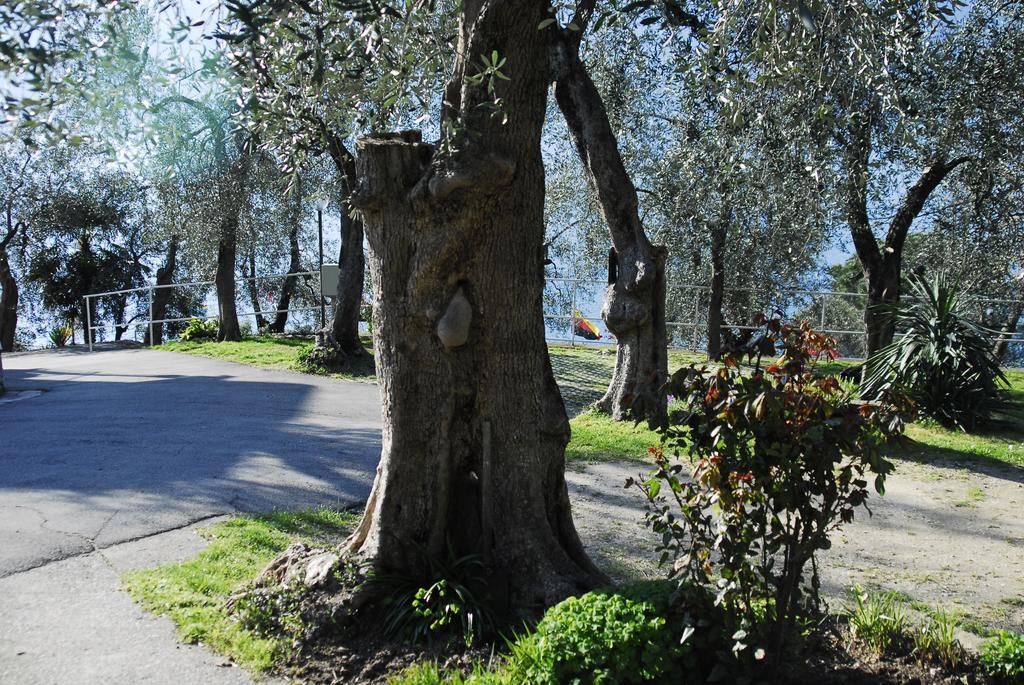 Monja Camping Village Brenzone sul Garda Exterior foto